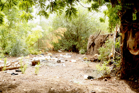 _MAD7764.JPG Hosting at Sudaneseonline.com