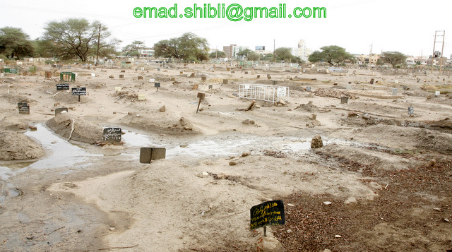 _MAD7805.JPG Hosting at Sudaneseonline.com