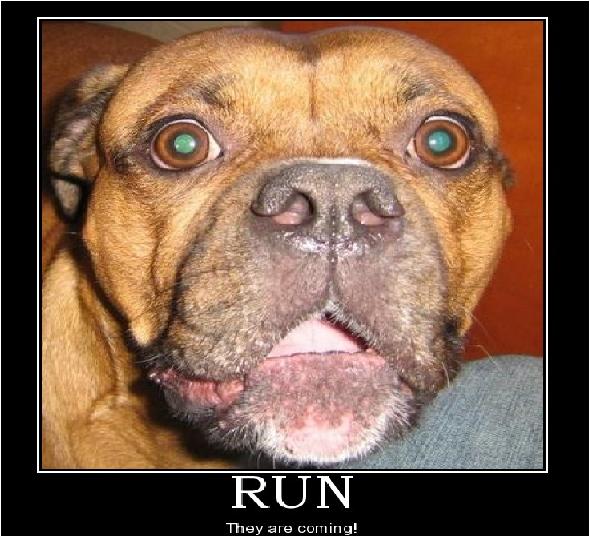 coming.JPG Hosting at Sudaneseonline.com