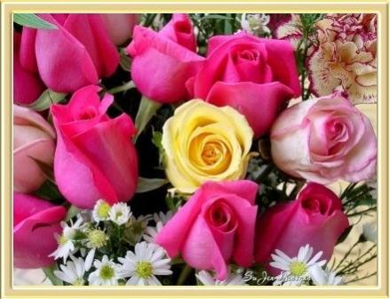 flowerb.JPG Hosting at Sudaneseonline.com