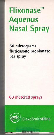 sudansudansudansudan2.JPG Hosting at Sudaneseonline.com