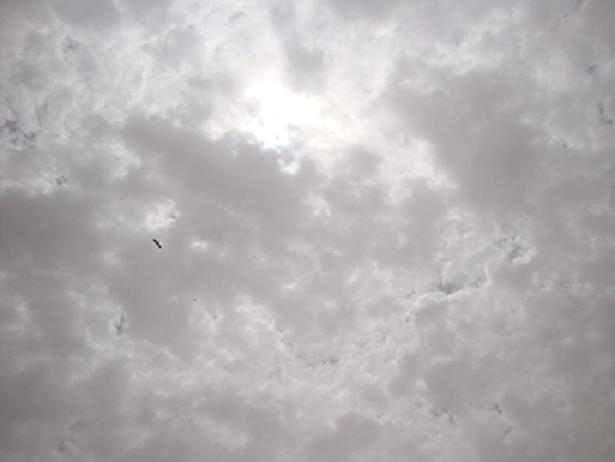 sudansudansudansudansudansudan-b1.JPG Hosting at Sudaneseonline.com