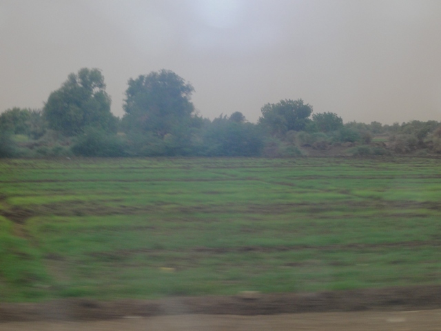 sudansudansudansudansudansudansudan4.JPG Hosting at Sudaneseonline.com