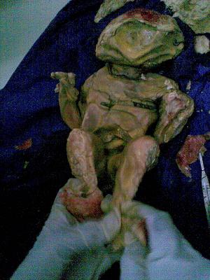 sudansudansudansudansudansudansudansudansudansudan.JPG Hosting at Sudaneseonline.com