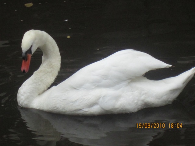 002.jpg Hosting at Sudaneseonline.com