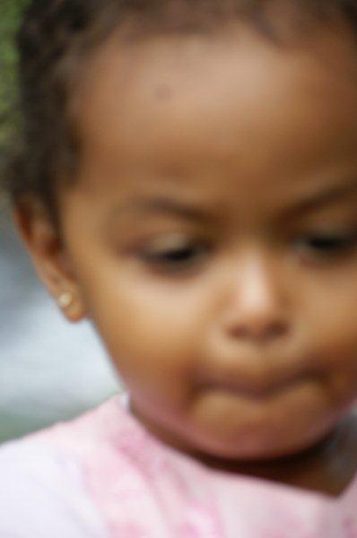 113.JPG Hosting at Sudaneseonline.com