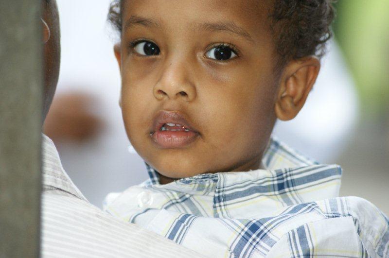 169.JPG Hosting at Sudaneseonline.com