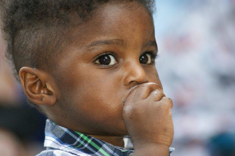 171.JPG Hosting at Sudaneseonline.com