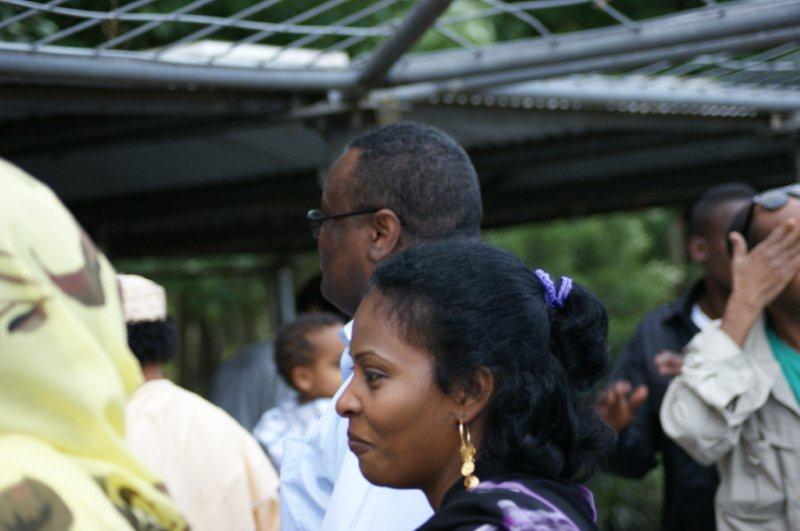 174.JPG Hosting at Sudaneseonline.com