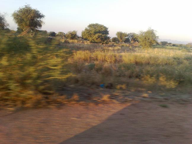 212121.JPG Hosting at Sudaneseonline.com