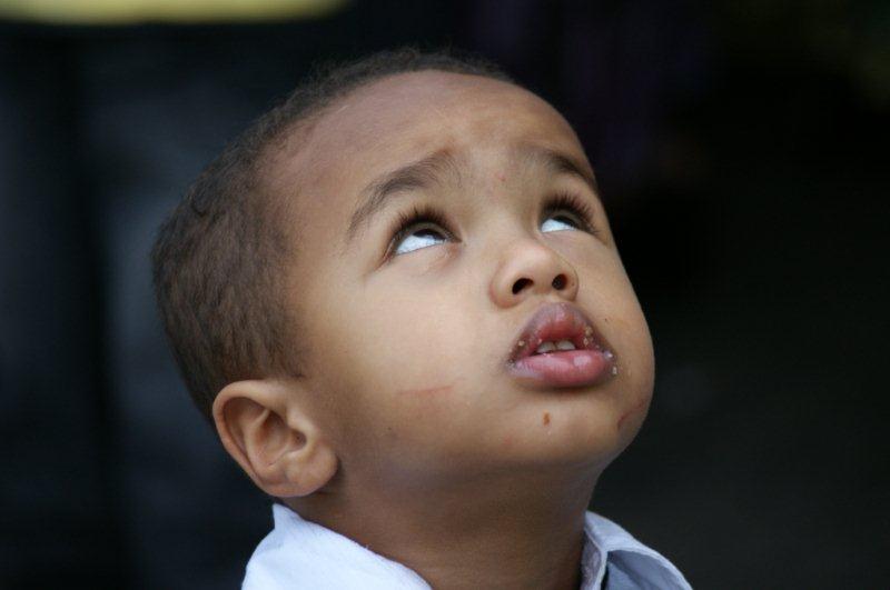 223.JPG Hosting at Sudaneseonline.com