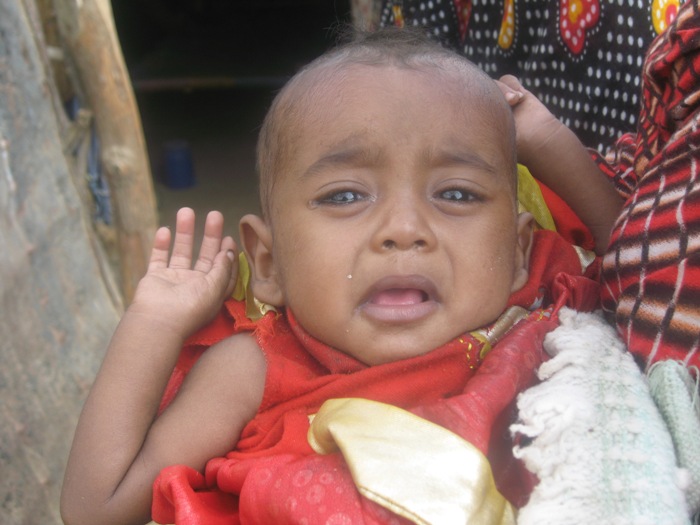 335.JPG Hosting at Sudaneseonline.com