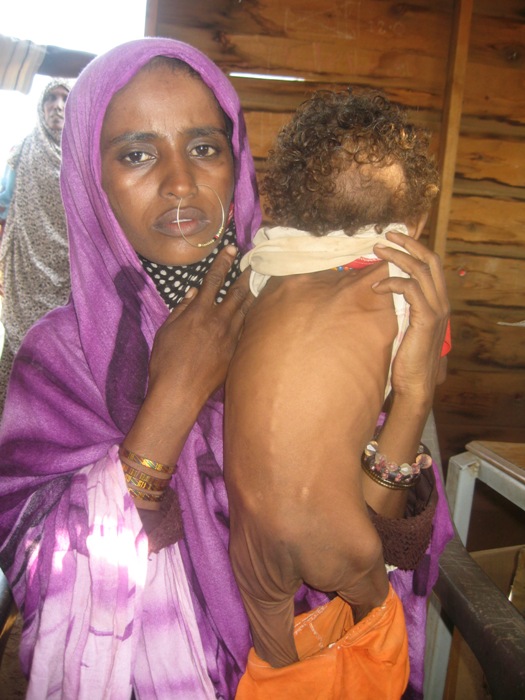 336.JPG Hosting at Sudaneseonline.com