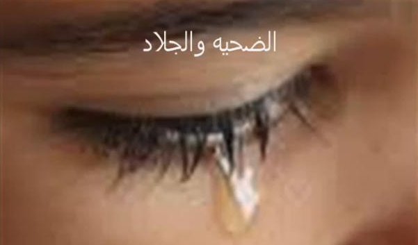 4444444.JPG Hosting at Sudaneseonline.com