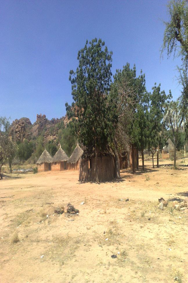 565656.JPG Hosting at Sudaneseonline.com