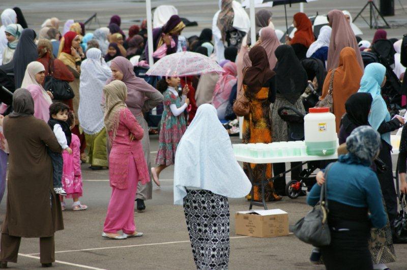 61.JPG Hosting at Sudaneseonline.com