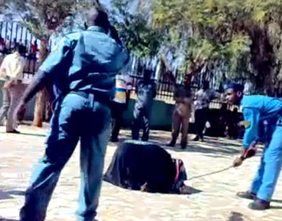 6666.JPG Hosting at Sudaneseonline.com