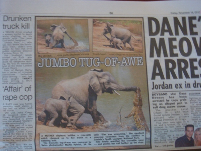 DSC01369.JPG Hosting at Sudaneseonline.com