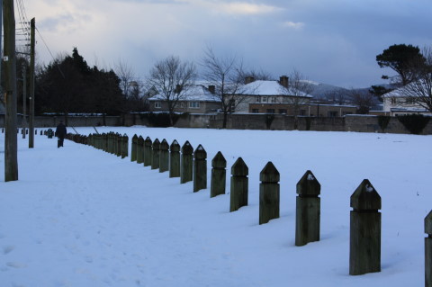 IMG_22.JPG Hosting at Sudaneseonline.com