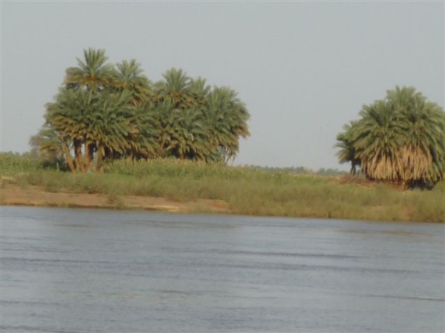 P1010624.JPG Hosting at Sudaneseonline.com