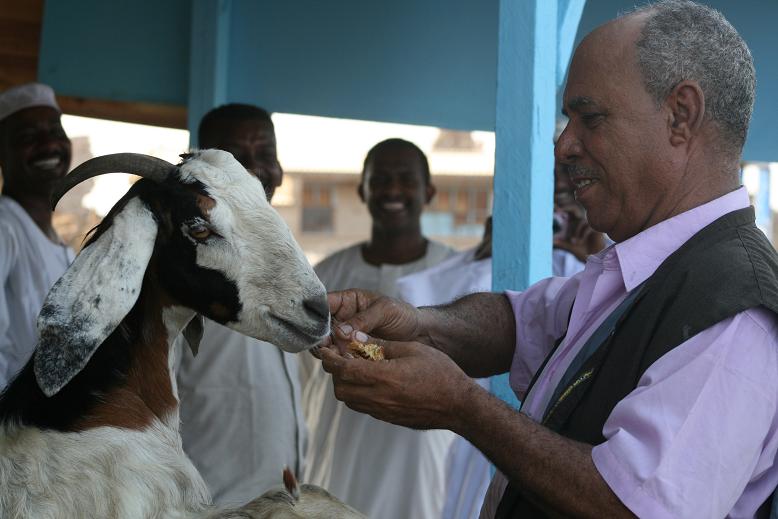 Picture201.JPG Hosting at Sudaneseonline.com