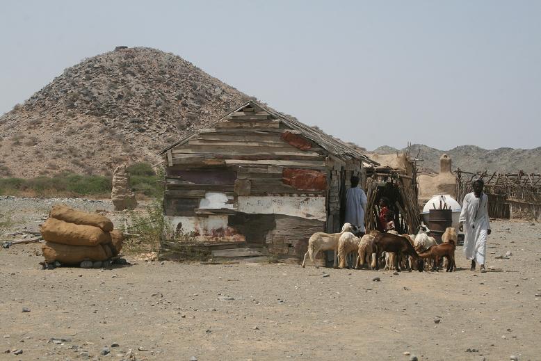 Picture3x97g.JPG Hosting at Sudaneseonline.com