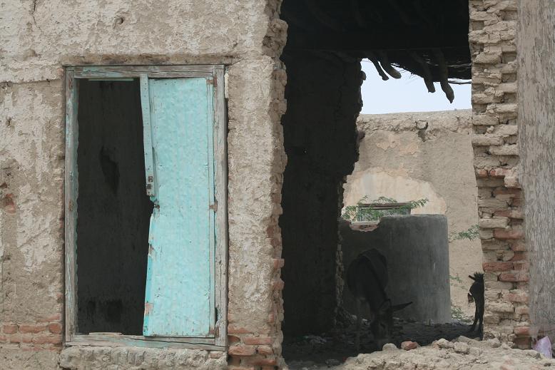 Picture582.JPG Hosting at Sudaneseonline.com