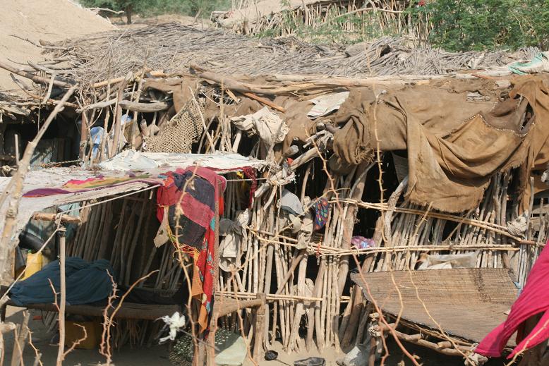 Picture968.JPG Hosting at Sudaneseonline.com