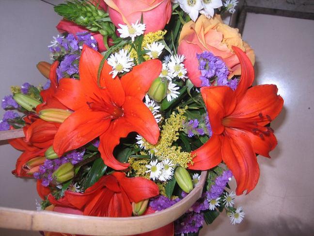 sudansudansudansudansudan3.JPG Hosting at Sudaneseonline.com