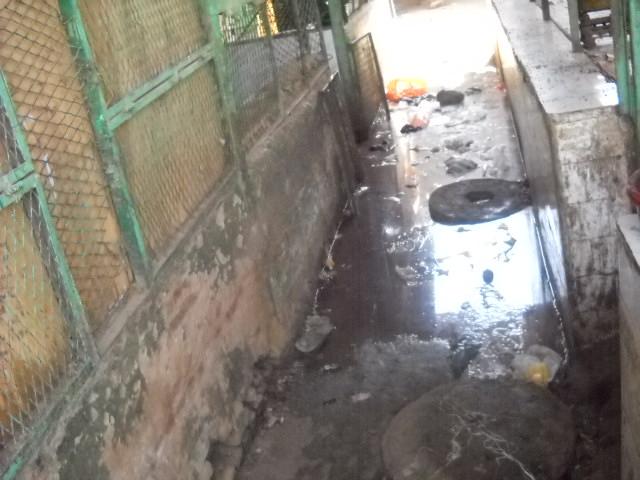 sudansudansudansudansudansudansudan.JPG Hosting at Sudaneseonline.com