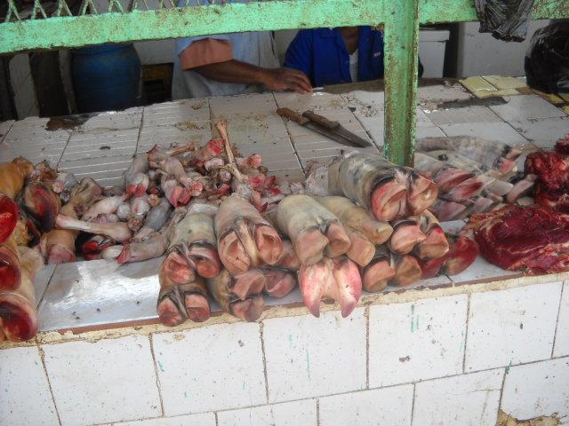 sudansudansudansudansudansudansudansudan4.JPG Hosting at Sudaneseonline.com