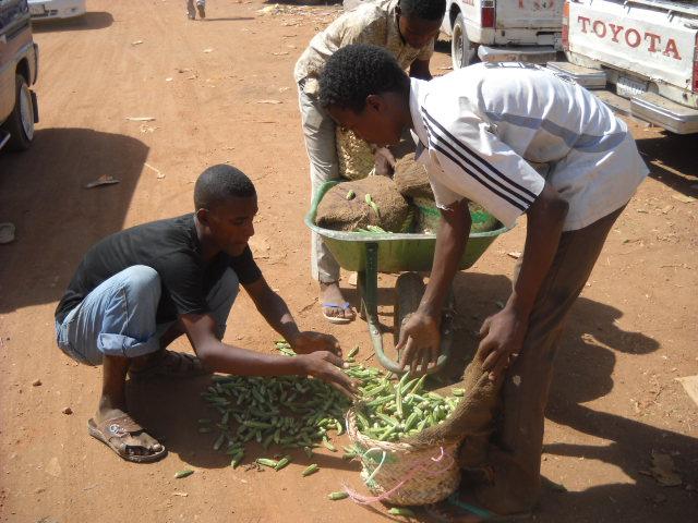 sudansudansudansudansudansudansudansudansudan6.JPG Hosting at Sudaneseonline.com