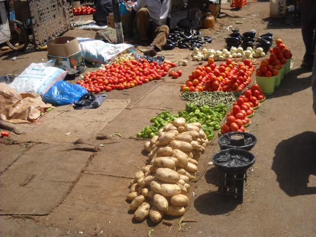 sudansudansudansudansudansudansudansudansudansudansudansudan1.JPG Hosting at Sudaneseonline.com