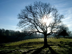 untitled13.bmp Hosting at Sudaneseonline.com