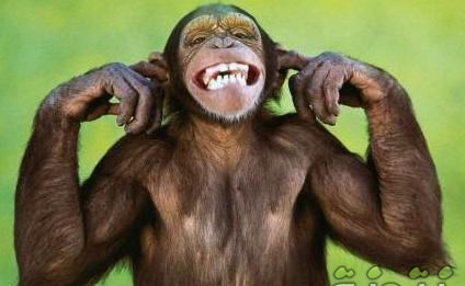 00122.jpg Hosting at Sudaneseonline.com