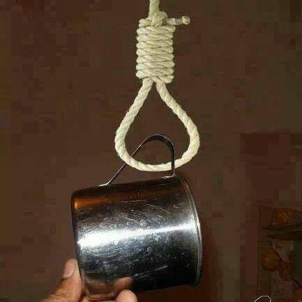 10152530_695741507132024_1280155567298189426_n.jpg Hosting at Sudaneseonline.com