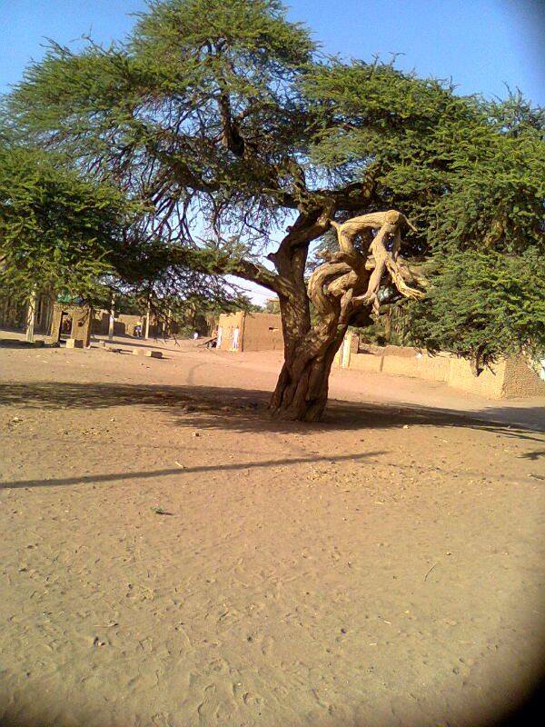 10258590_1441833062725099_6416655876761822957_nsudan1sudan.jpg Hosting at Sudaneseonline.com