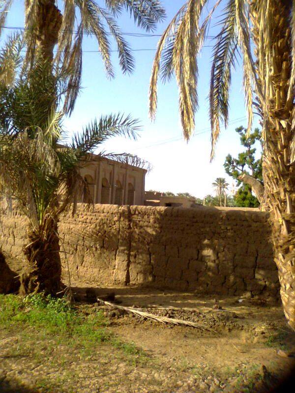 10259733_1442338139341258_107441196746560954_n.jpg Hosting at Sudaneseonline.com