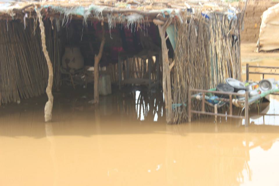 10306736_10202519820384108_313132065148192732_n.jpg Hosting at Sudaneseonline.com