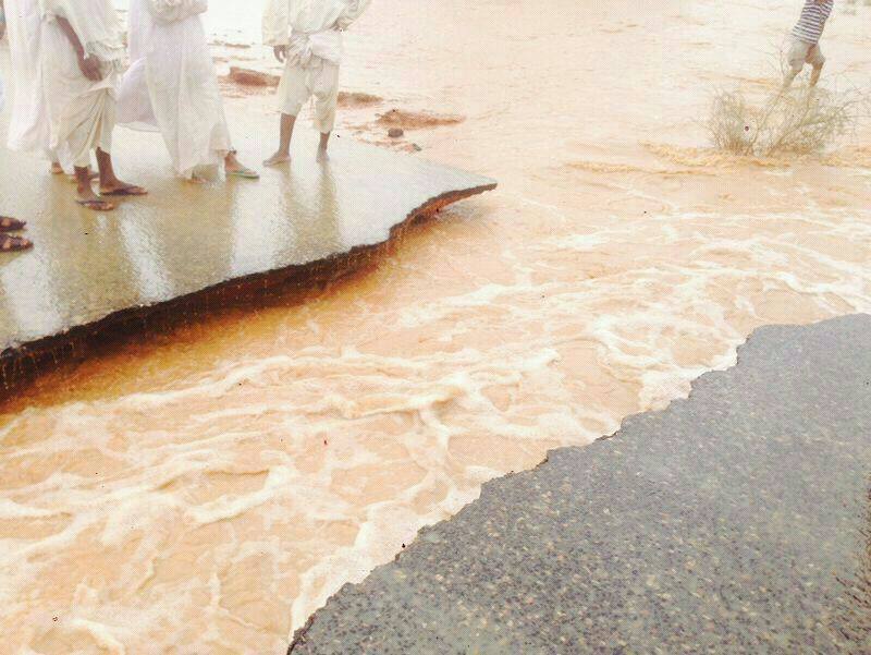 10441921_502131916597008_540102934748815522_n.jpg Hosting at Sudaneseonline.com