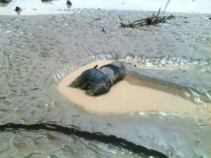 10446669_739808396075460_4731315687335630242_nsudan1sudan.jpg Hosting at Sudaneseonline.com