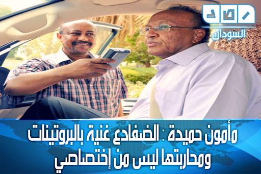 10453332_746566965411267_7263949376926435821_n1.jpg Hosting at Sudaneseonline.com