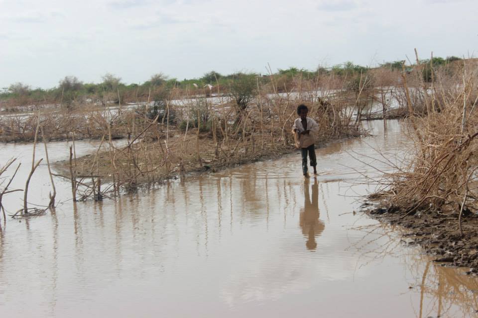 10500346_10202519817424034_7997205465475659909_n.jpg Hosting at Sudaneseonline.com