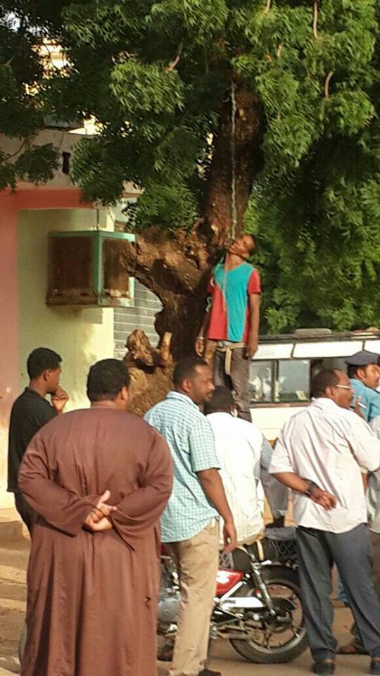 10511163_10152350052411373_1701733131008984049_n.jpg Hosting at Sudaneseonline.com