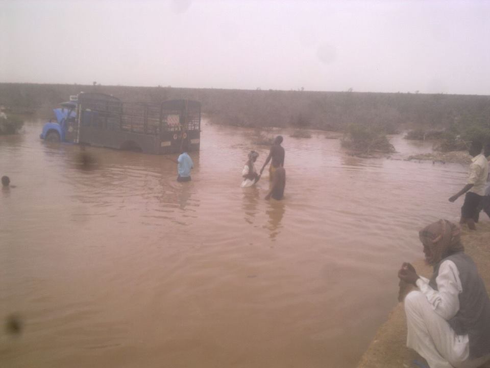 10527331_727918773922150_8454108990166799051_n.jpg Hosting at Sudaneseonline.com