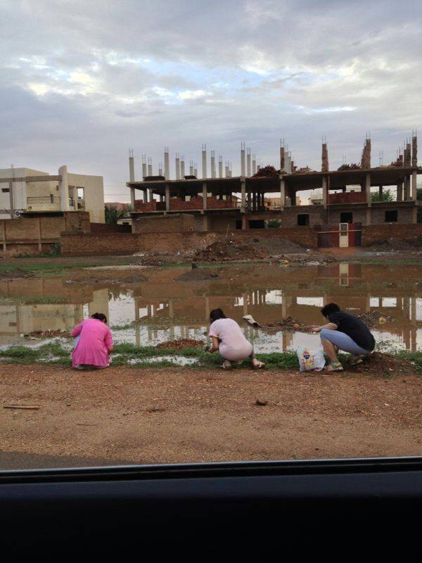 10530751_10153130433812516_6637041653680220002_n.jpg Hosting at Sudaneseonline.com