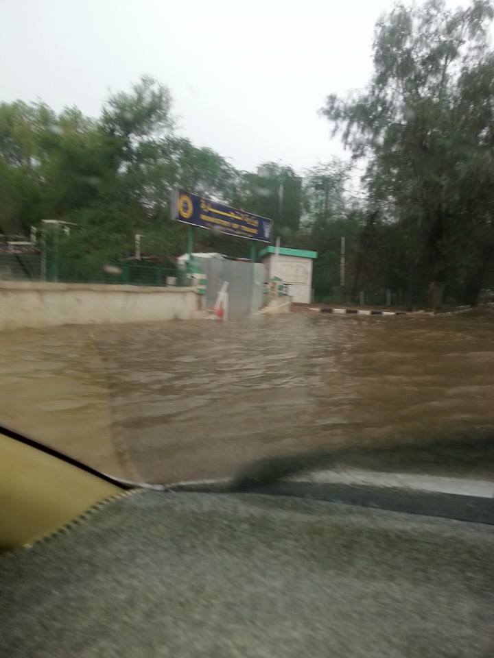 10532776_10152609901149920_3785466081248829066_n.jpg Hosting at Sudaneseonline.com