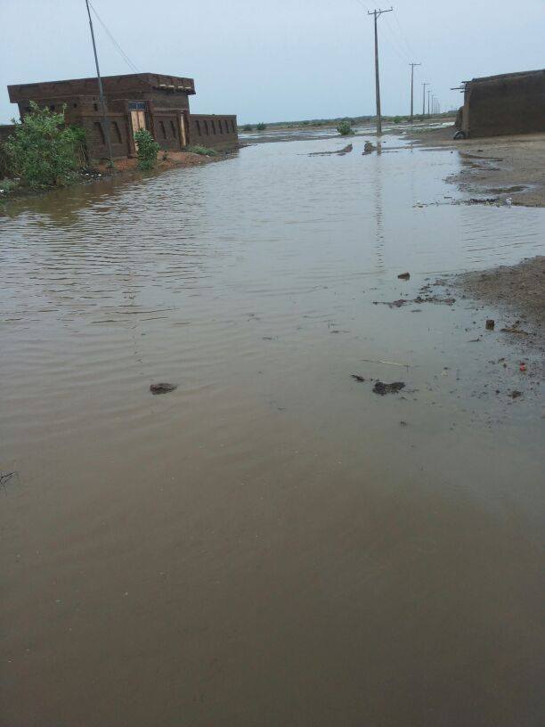 10547508_505359412940925_6594014417077811827_n.jpg Hosting at Sudaneseonline.com