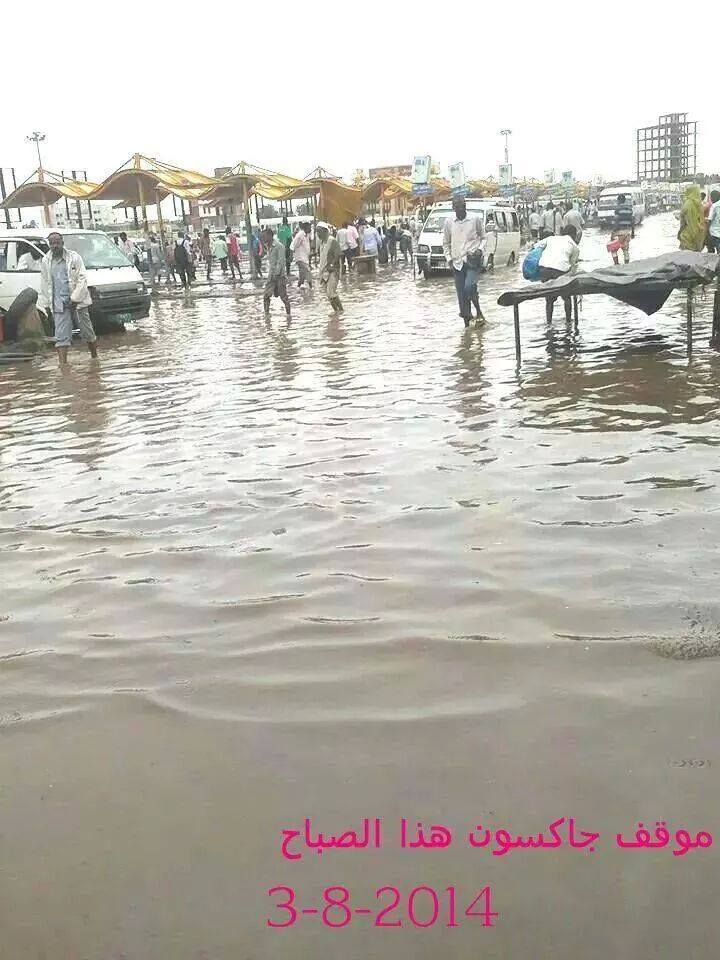 10550951_10152247696827078_6665202922172501056_n.jpg Hosting at Sudaneseonline.com