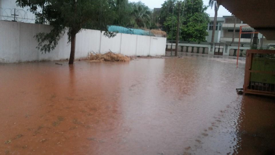 10556477_10203525627893124_4924128458669460399_n.jpg Hosting at Sudaneseonline.com